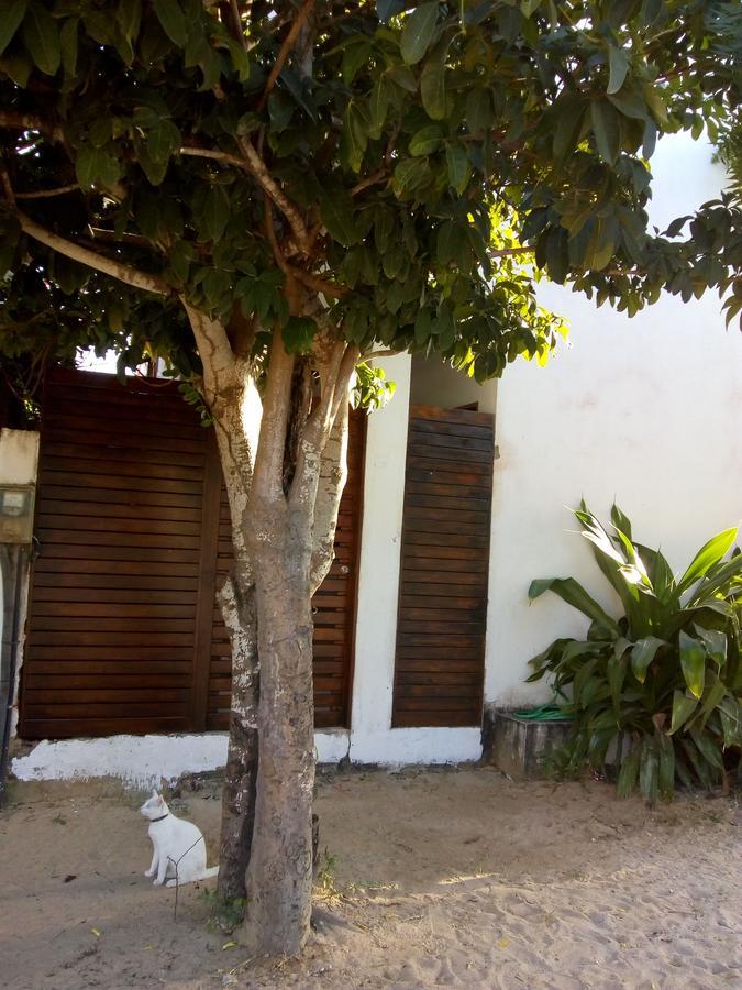 شقة جيجوكا دي جيريكواكوارا  في Guaco House المظهر الخارجي الصورة